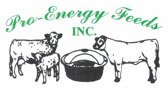 ProEnergyFeeds Logo 2019