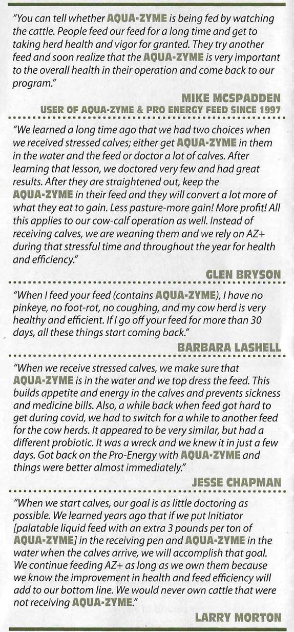 PEF Testimonials.jpg